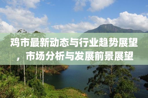 鸡市最新动态与行业趋势展望，市场分析与发展前景展望
