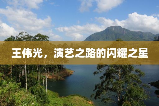 王伟光，演艺之路的闪耀之星