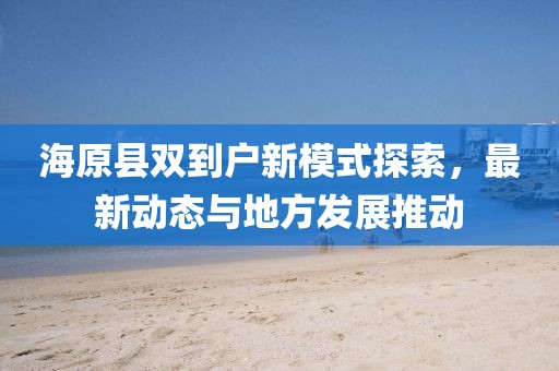 海原县双到户新模式探索，最新动态与地方发展推动