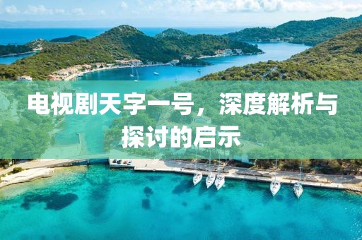 电视剧天字一号，深度解析与探讨的启示