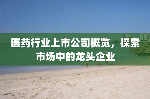 医药行业上市公司概览，探索市场中的龙头企业