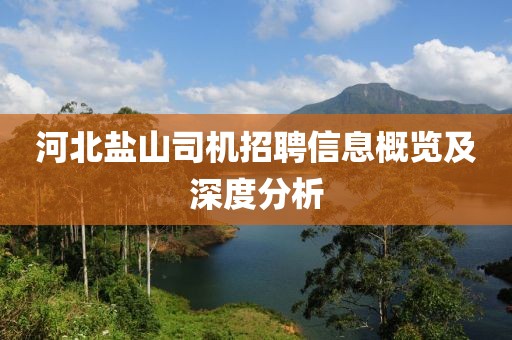 河北盐山司机招聘信息概览及深度分析