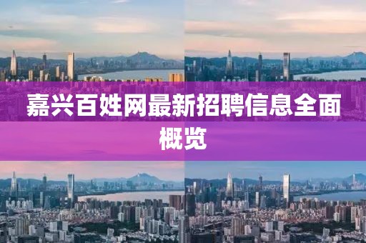 嘉兴百姓网最新招聘信息全面概览