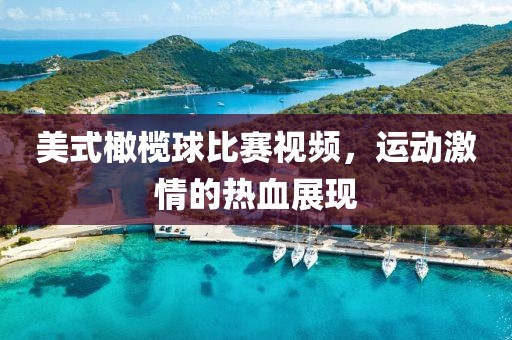 招阳飙 第4页