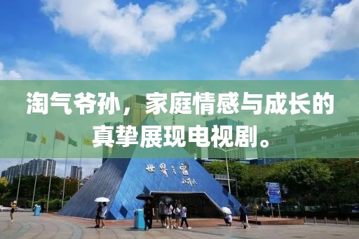 淘气爷孙，家庭情感与成长的真挚展现电视剧。