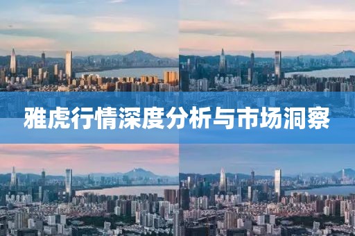 雅虎行情深度分析与市场洞察