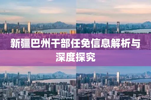 新疆巴州干部任免信息解析与深度探究
