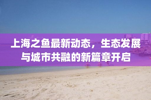 上海之鱼最新动态，生态发展与城市共融的新篇章开启