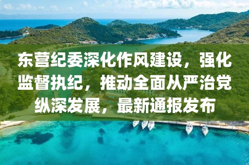 东营纪委深化作风建设，强化监督执纪，推动全面从严治党纵深发展，最新通报发布
