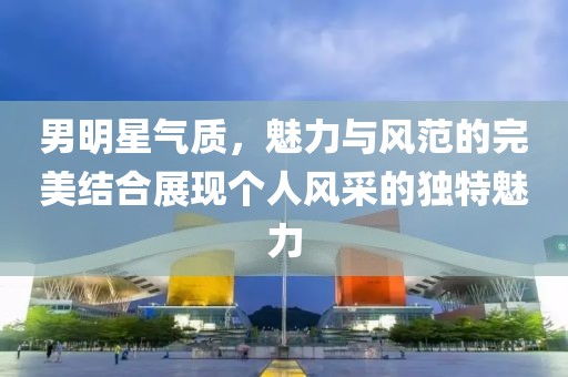 男明星气质，魅力与风范的完美结合展现个人风采的独特魅力