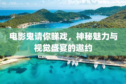 电影鬼请你睇戏，神秘魅力与视觉盛宴的邀约