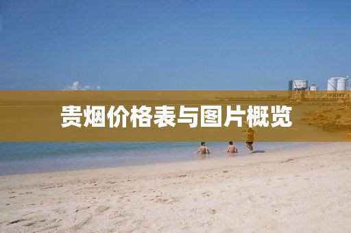 达靖巧 第5页