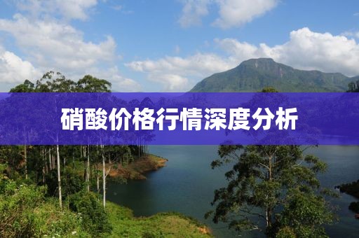 硝酸价格行情深度分析