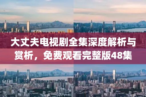 大丈夫电视剧全集深度解析与赏析，免费观看完整版48集
