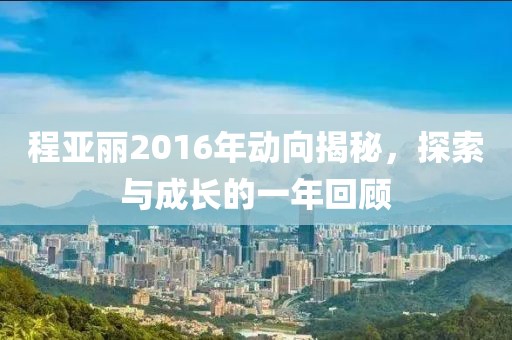 程亚丽2016年动向揭秘，探索与成长的一年回顾