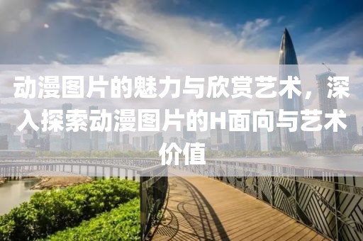 动漫图片的魅力与欣赏艺术，深入探索动漫图片的H面向与艺术价值