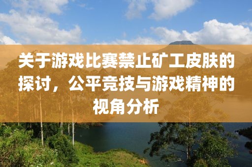 关于游戏比赛禁止矿工皮肤的探讨，公平竞技与游戏精神的视角分析
