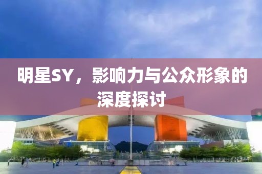 明星SY，影响力与公众形象的深度探讨