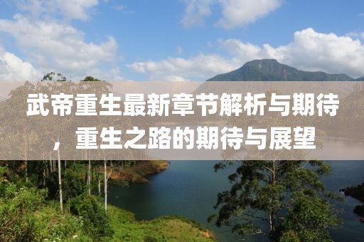武帝重生最新章节解析与期待，重生之路的期待与展望