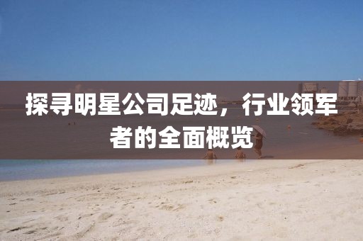 探寻明星公司足迹，行业领军者的全面概览