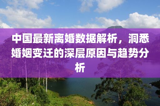 中国最新离婚数据解析，洞悉婚姻变迁的深层原因与趋势分析