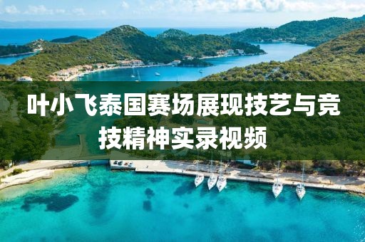 叶小飞泰国赛场展现技艺与竞技精神实录视频