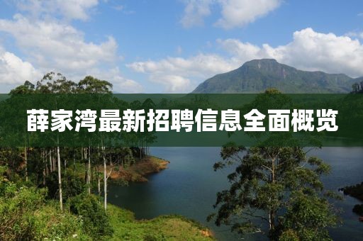 薛家湾最新招聘信息全面概览