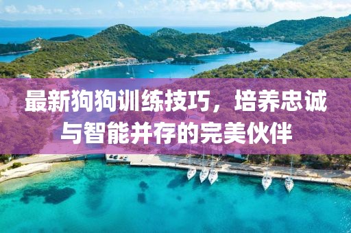 最新狗狗训练技巧，培养忠诚与智能并存的完美伙伴