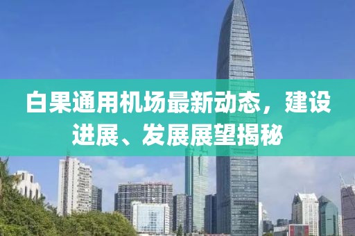 白果通用机场最新动态，建设进展、发展展望揭秘
