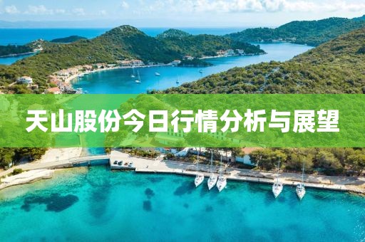 天山股份今日行情分析与展望