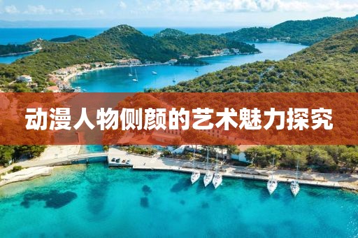 动漫人物侧颜的艺术魅力探究