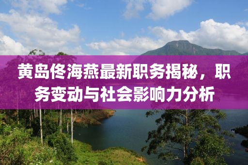 黄岛佟海燕最新职务揭秘，职务变动与社会影响力分析