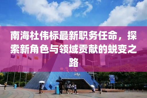 南海杜伟标最新职务任命，探索新角色与领域贡献的蜕变之路