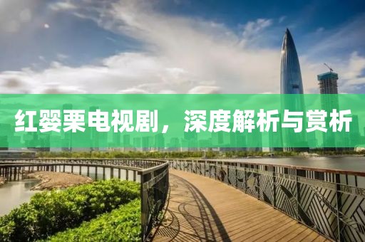 红婴栗电视剧，深度解析与赏析