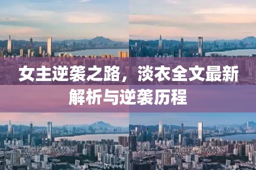女主逆袭之路，淡衣全文最新解析与逆袭历程