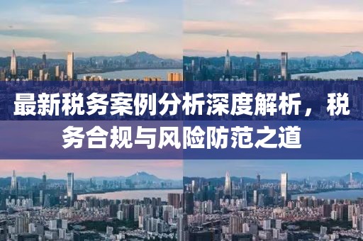最新税务案例分析深度解析，税务合规与风险防范之道