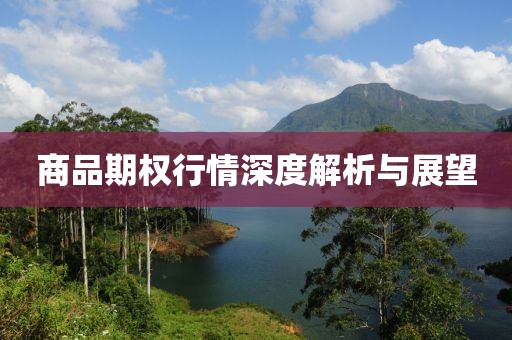 商品期权行情深度解析与展望