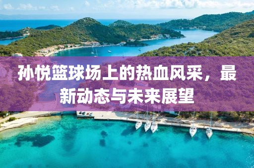 孙悦篮球场上的热血风采，最新动态与未来展望