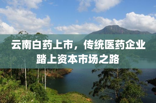 云南白药上市，传统医药企业踏上资本市场之路