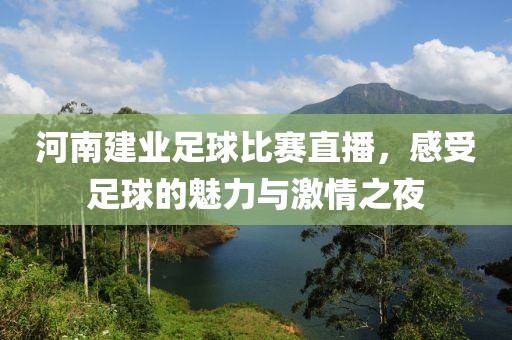 河南建业足球比赛直播，感受足球的魅力与激情之夜