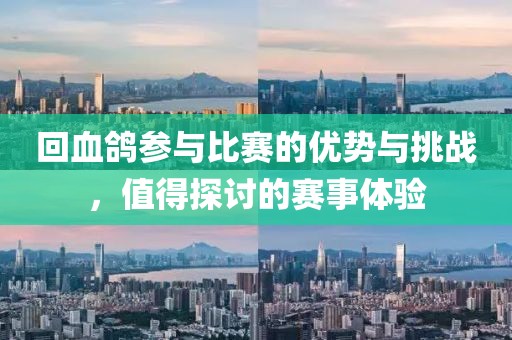 回血鸽参与比赛的优势与挑战，值得探讨的赛事体验