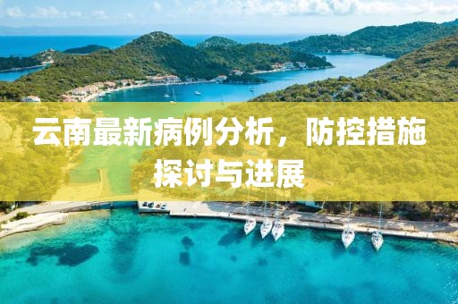 云南最新病例分析，防控措施探讨与进展