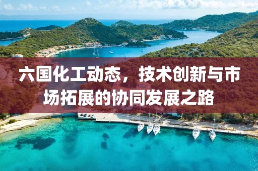 六国化工动态，技术创新与市场拓展的协同发展之路