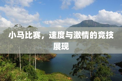 小马比赛，速度与激情的竞技展现