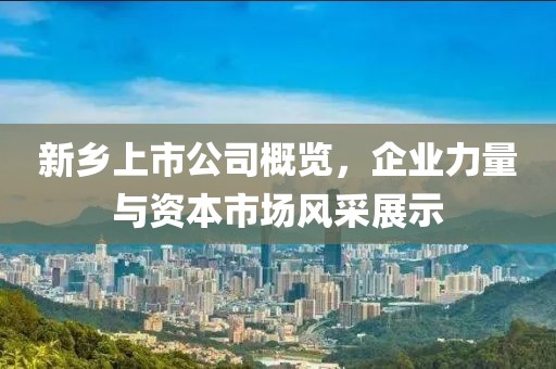 新乡上市公司概览，企业力量与资本市场风采展示