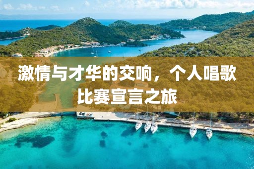 激情与才华的交响，个人唱歌比赛宣言之旅