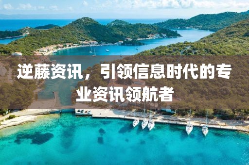 逆藤资讯，引领信息时代的专业资讯领航者