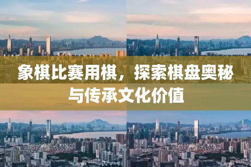扬玉瑾 第4页