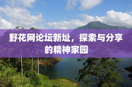 野花网论坛新址，探索与分享的精神家园