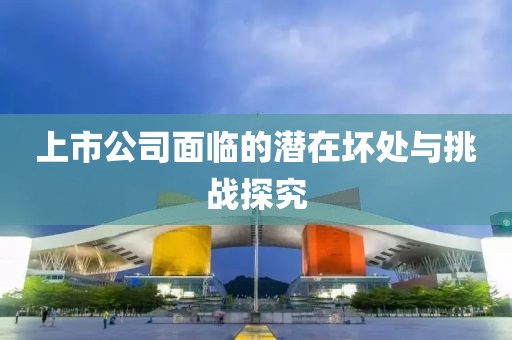 上市公司面临的潜在坏处与挑战探究